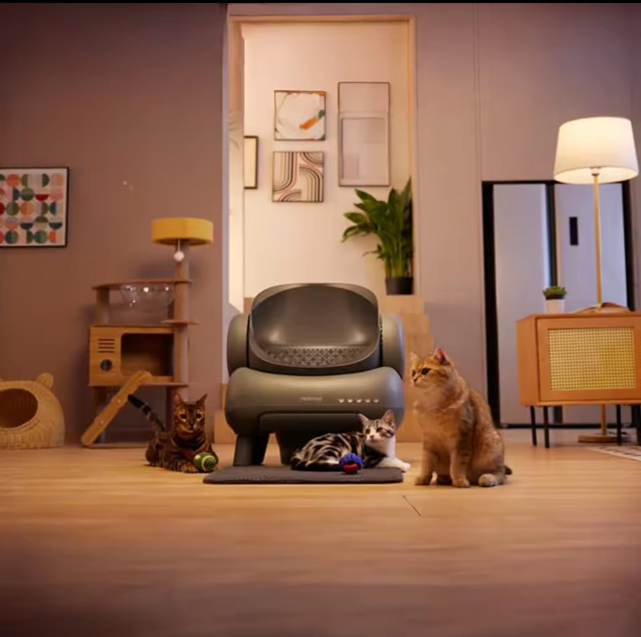 NEAKASA M1 AUTOMATIC SELF CLEANING CAT LITTER BOX