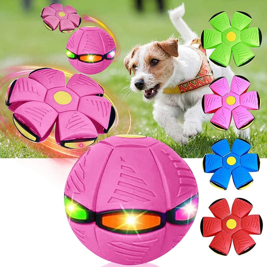 PET FLYING SAUCER BALL