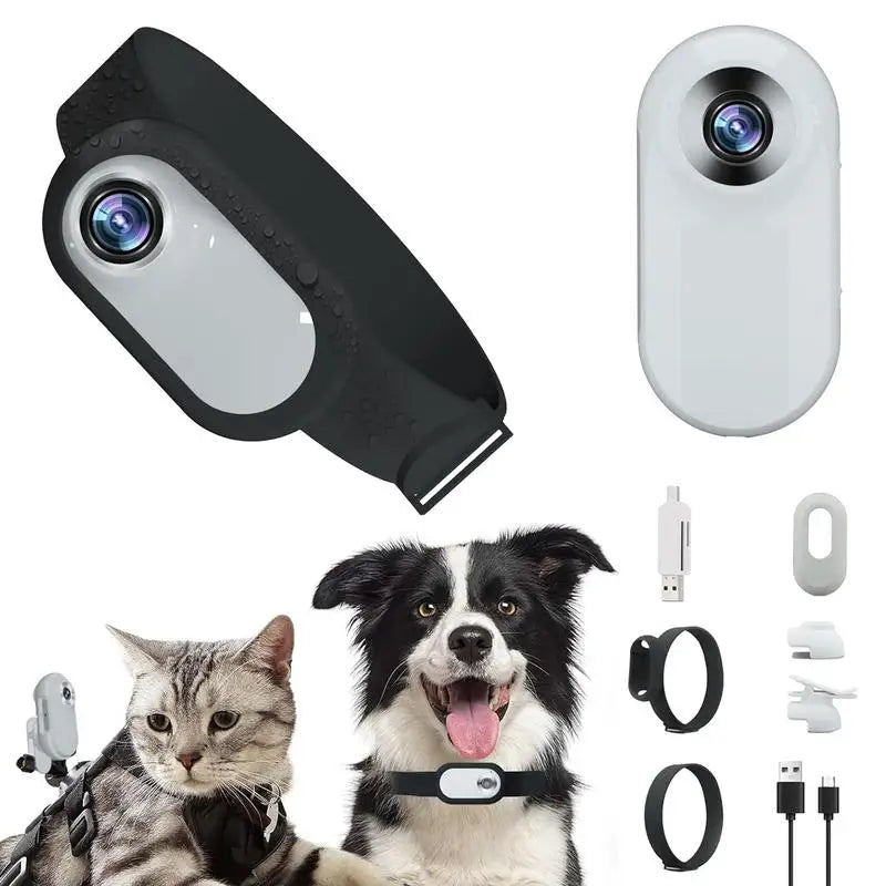 PET COLLAR CAMERA HD