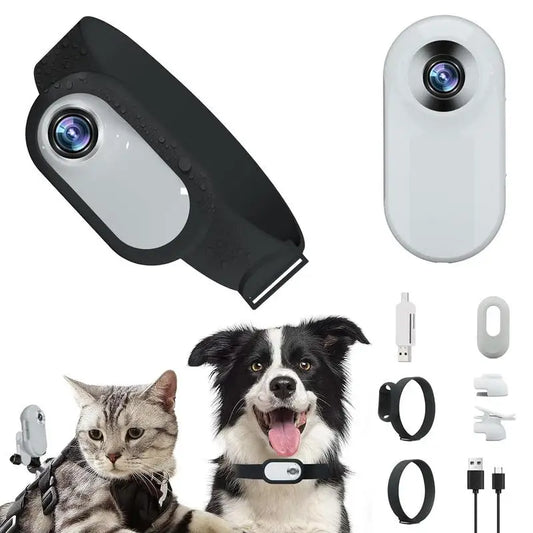 PET COLLAR CAMERA HD